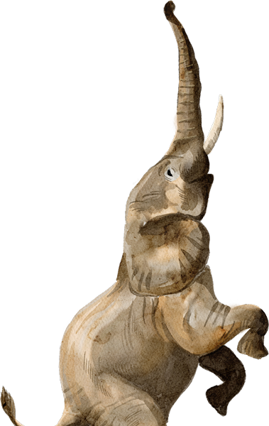 SS_ELEPHANT